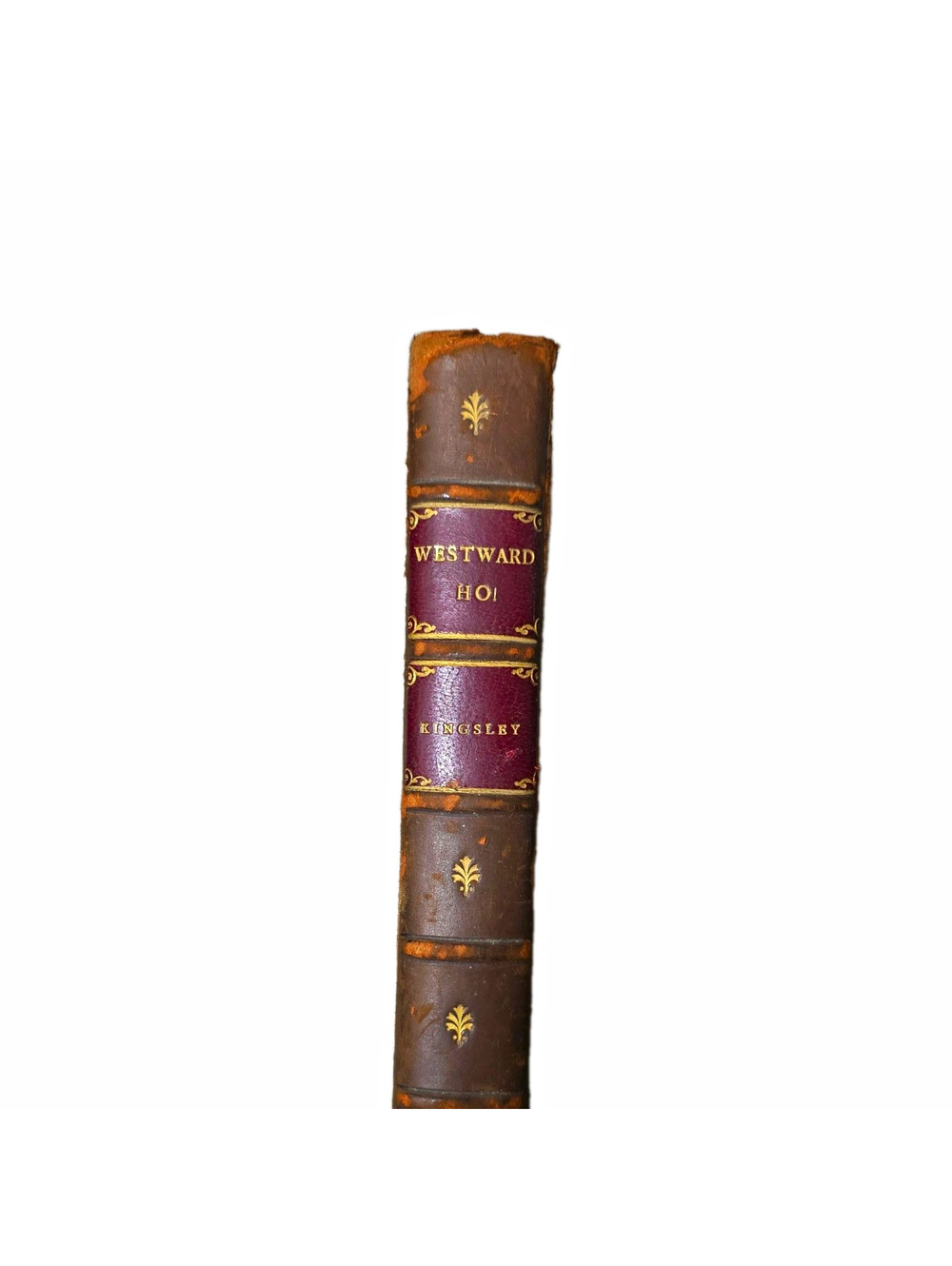 Westward Ho! by Charles Kingsley Illustrated Hardcover Macmillan London 1911